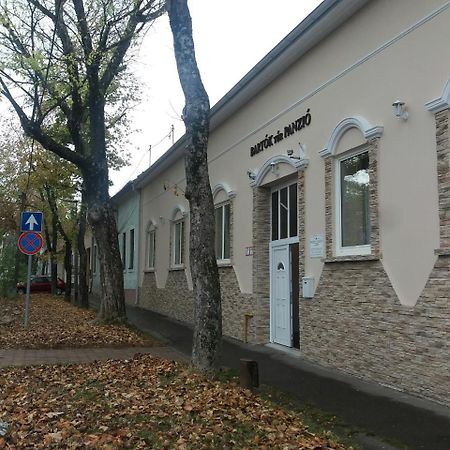 Bartok Ter Panzio Bed & Breakfast Eger Luaran gambar